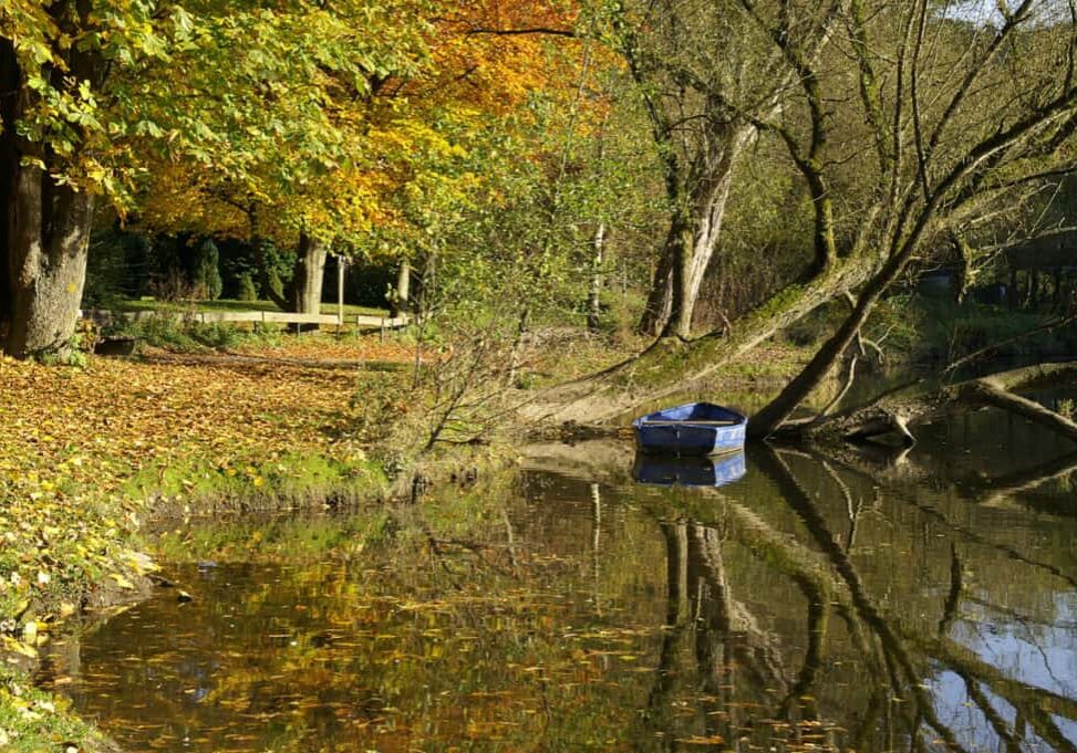 KONICA MINOLTA DIGITAL CAMERA