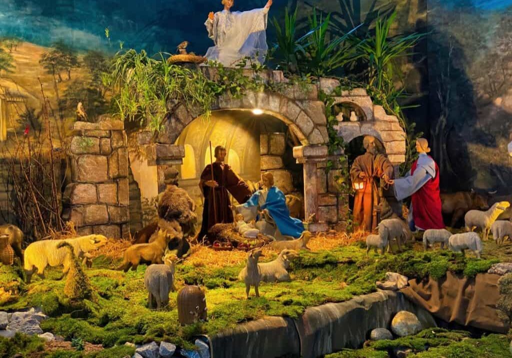 IMG_6427-PJ_Steinke-web